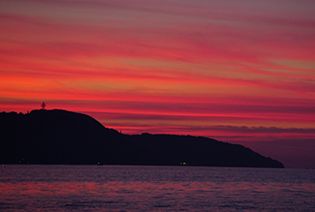 ������Ʒ���꣬���ż���ҵ����Ŀ