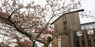 开成人用品网店是发家致富的小本创业好商机 开成人用品网店是发家致富的小本创业好商机