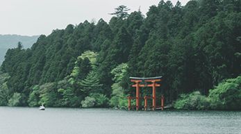 ������Ʒ΢��ʲôʱ������Ȧ**��Ч