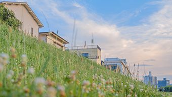 成人用品淘宝店高客单价如何做基础销量?有什么技巧? 成人用品淘宝店高客单价如何做基础销量?有什么技巧?