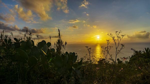 2022����Ȥ��ҵ������Щ�����أ�