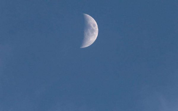 ������Ʒ���ʷ�Ծ�Եķ�չ