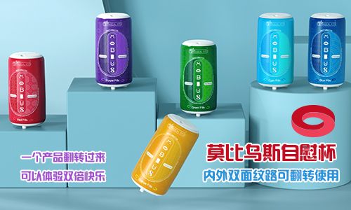 Ī����˹��ο��TPE�׷�����˫����·���ɷ�ת���ַ����ɻ���