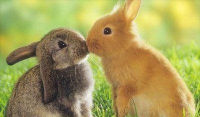 ������Ʒ�����ۻ����˽���û����