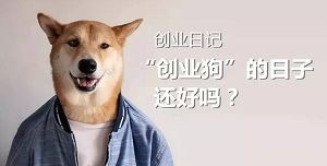 �����ӽ�Ϊ�㽲�⣺������Ʒ�긱ҵ��ο���