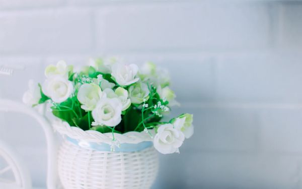 ��δӡ�0��������ҵ����Ǯ�죿