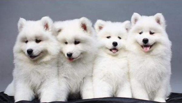 24Сʱ������Ʒ�����ۻ����ʺ�Ů��С�ɱ���ҵ