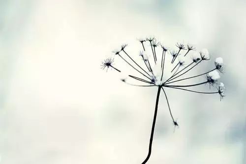 ������Ʒ������Ҫ����Ǯ��������Щ���ã�