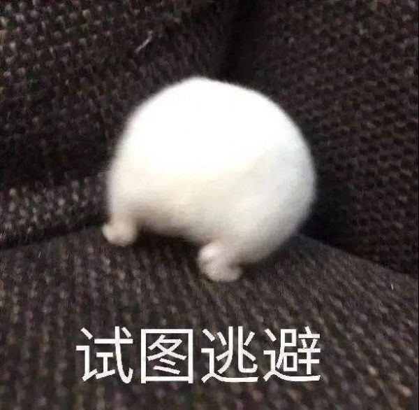 成人用品店采取线上线下相结合,实现多元化发展 成人用品店采取线上线下相结合,实现多元化发展