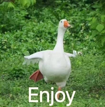 美团电商做成人用品靠谱吗? 美团电商做成人用品靠谱吗?