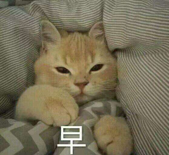 2022年开成人店还赚钱吗 2022年开成人店还赚钱吗