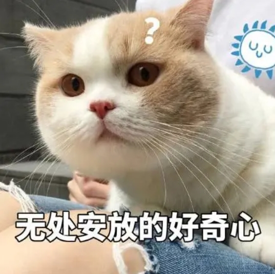 ��������á���Ȥ��˾Ա���Ĺ��ﳵ�������źö�����....