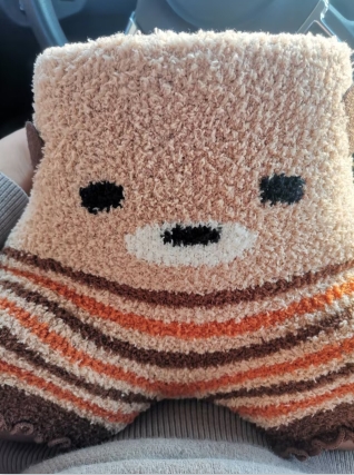 ����ʵ�ģ����������������ǹ�ϣ��