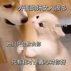 ����˽���ã������̻����������۷塣