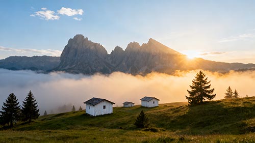 2025 ���ֿ�������Ʒ������ȫ���ԣ������ʵ�ӯ����ʵ��ָ��