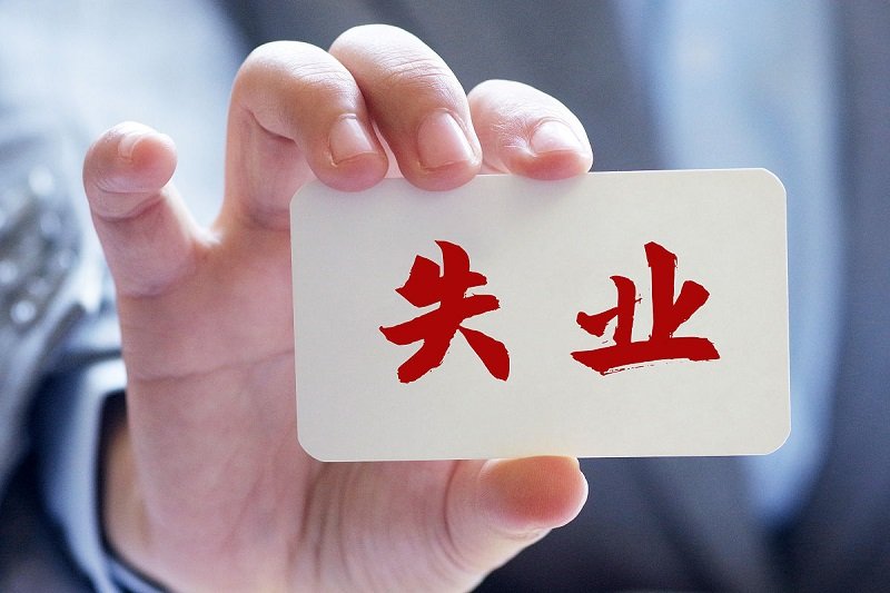 ����ʧҵ��Ⱥ�ĸ�ҵ��������Ʒ��Ȥ�����꣬���׬Ǯ��