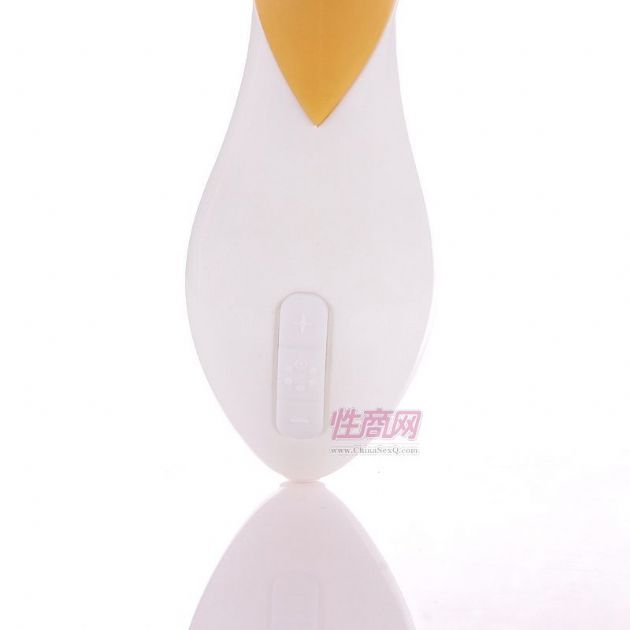 收入证明_女性收入(2)