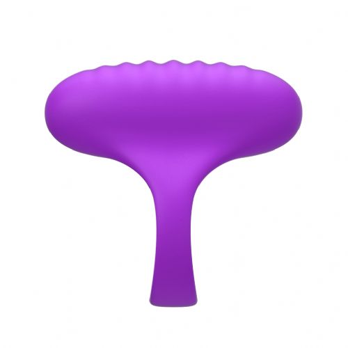 ��˹���� ����������������