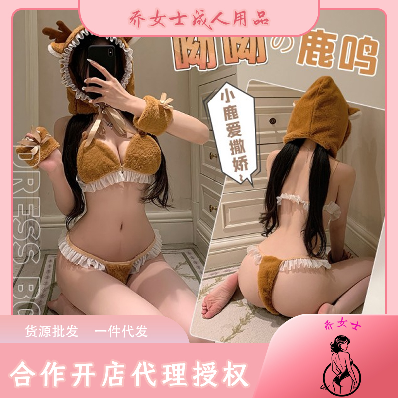 ¹��ë������ʽ��װ