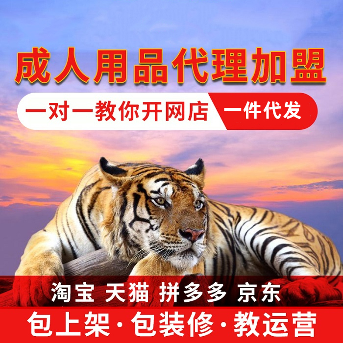 SM ʮ����������� ������������˿���