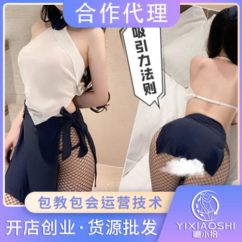 �Ƕ�ʽ͸���㱳�ս���װ6216