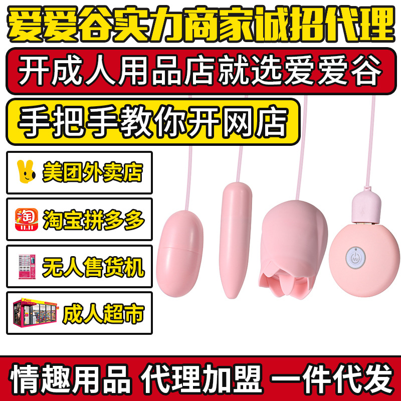 �ݼ�USBõ�廨����Ů�����߳�����Ȥ��Ʒ��������������Դһ����