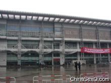 չ�������⾰