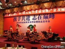 һͳҽҩ����ƻ��ֳ�11