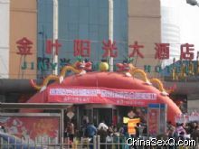 �������Ƶ�