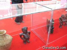 չ���ϵ�������չ2