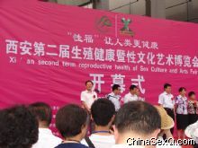 2010�������Ļ�������--չ�ῪĻ