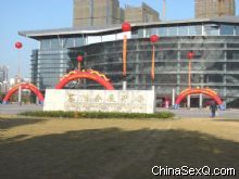 2010�׽�������Ļ���չ�ῪĻͼƬ����