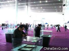 2010�׽�������Ļ���չ���ֳ�ͼƬ����