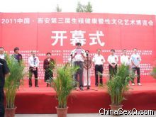 2011�������������Ļ������ᡪ�ֳ�ͼ�ı���