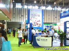 չ��չ̨�����������죬������ҵ���Ļ��ں����Ʒ��ɫ