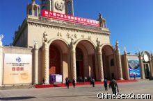 2011���������ᡶ���̡�����