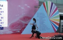 2012�й��������Ľ���ֳ�������Բ��ᱨ��ͼƬ26