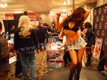 2013��˹ά��˹����չͼƬ��������2��ͼƬ62