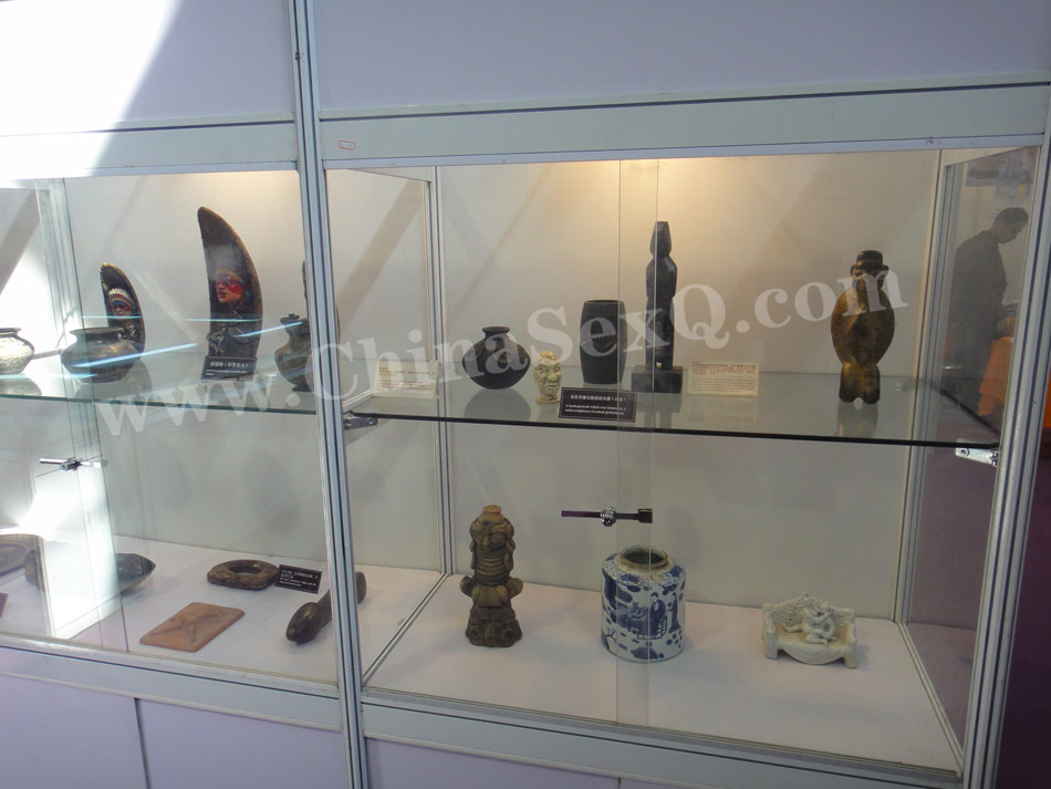 2013�Ϻ�����չ������չ��