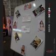 2013Ϥ��seXpo���Ļ���