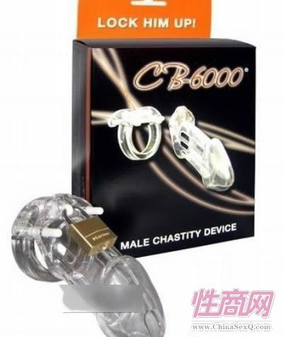 【组图】让人崩溃的男用“贞操套”图片6
