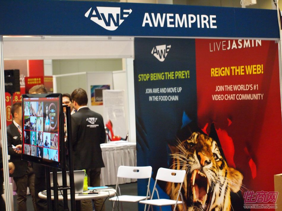 2013年亚洲成人博览参展企业图片27