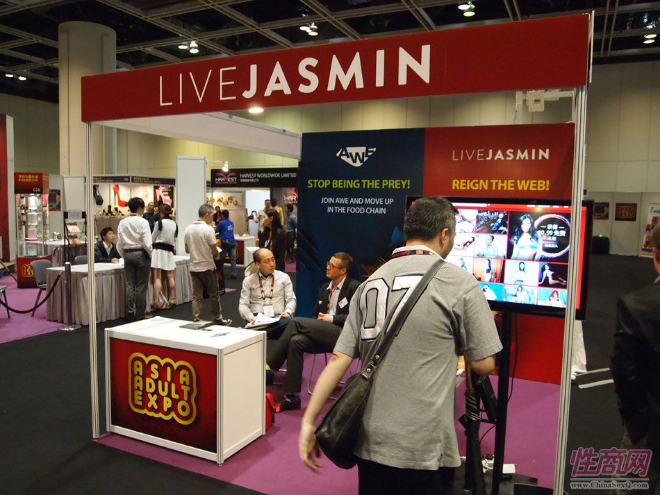 2013年亚洲成人博览参展企业图片52