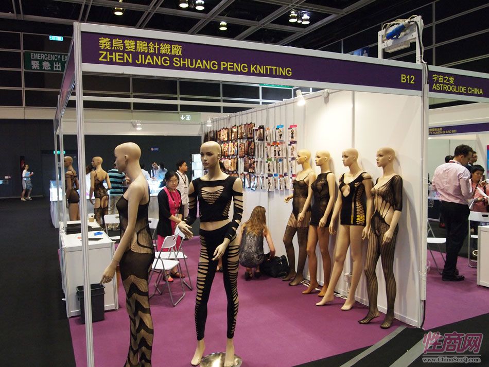 2013年亚洲成人博览参展企业图片66