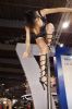 2012广州性文化节――性感钢管舞表演图片3