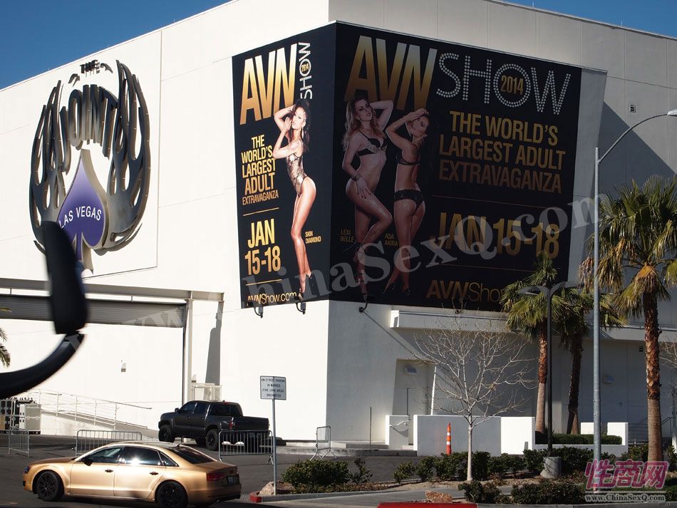 2014美国拉斯维加斯成人展展会现场(3)图片24