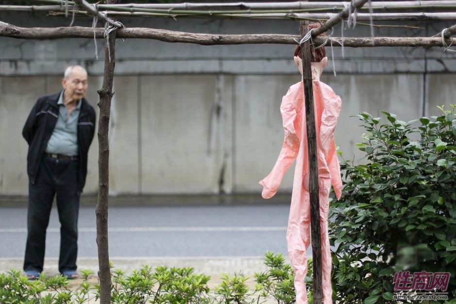 图为2012年6月5日,湖南长沙河西桃花岭公交总站附近,一丝瓜架上挂了充气娃娃,家住附近的刘师傅看不过这样的恶作剧,把充气娃娃扔到了垃圾堆里。