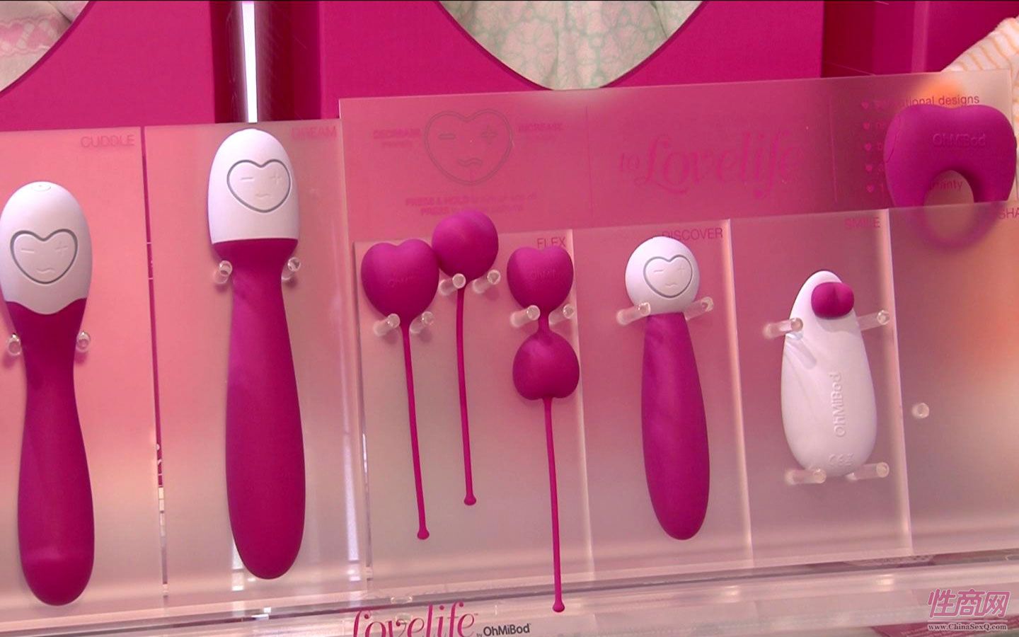 2014广州性文化节-性商网专访Lovelife图片7