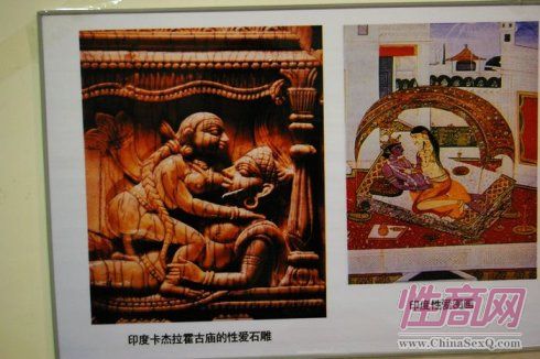 2009第二届郑州性文化节现场图片报道图片10