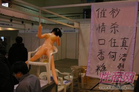 2009第二届郑州性文化节现场图片报道图片8